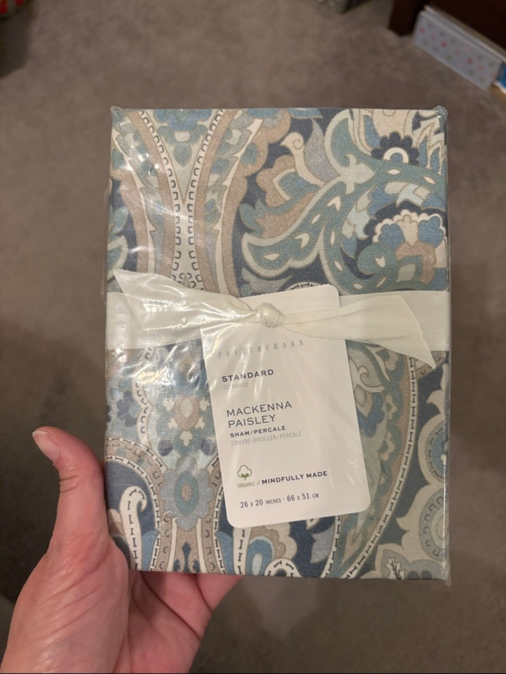 Pottery Barn Mackenna Paisley Standard Sham - Blue, Cream & Tan